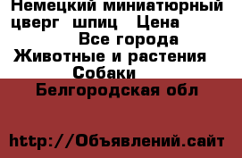 Немецкий миниатюрный(цверг) шпиц › Цена ­ 50 000 - Все города Животные и растения » Собаки   . Белгородская обл.